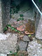 shannonbridge cap-1207.jpg